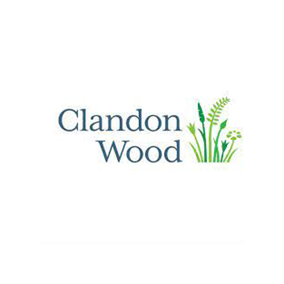 Clandon Wood