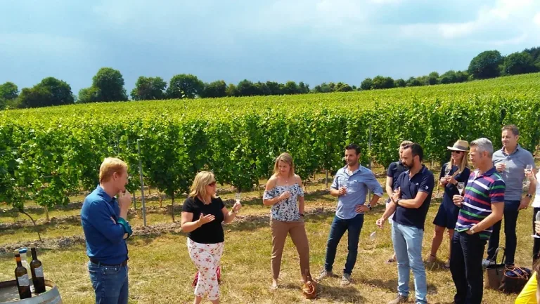 1256d7 f145eac871e041ce96e0c184b977707bmv2 768x433