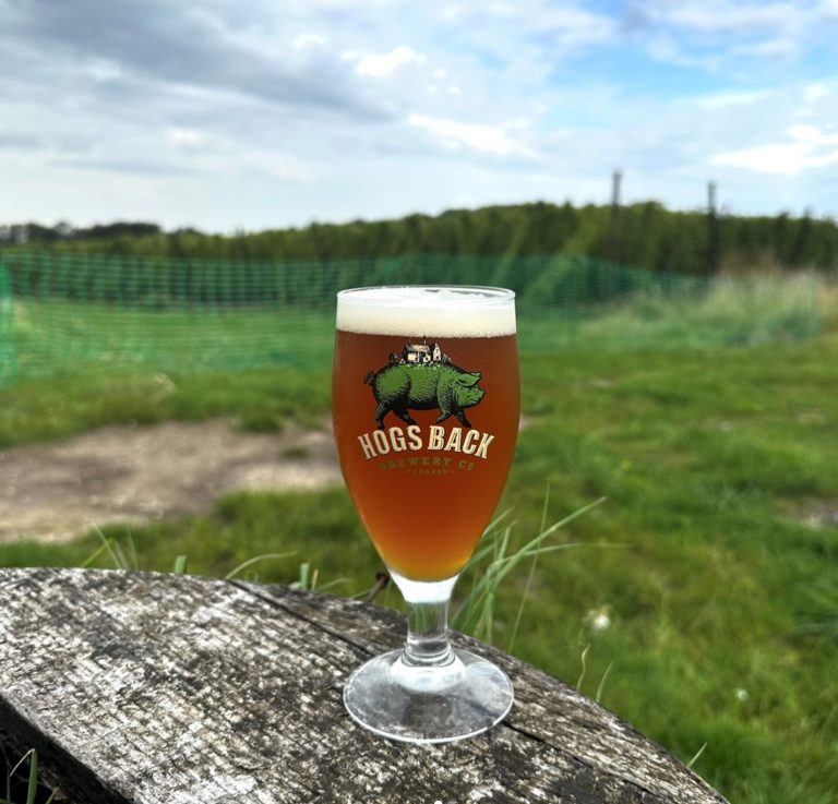 Hogs Back Brewery 768x737