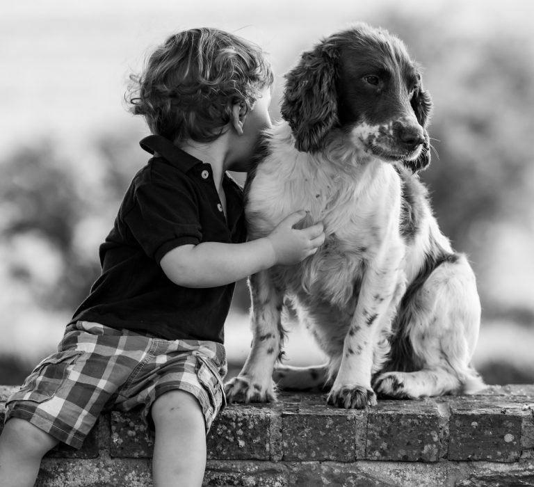 Georgie Charlie 6787 768x700