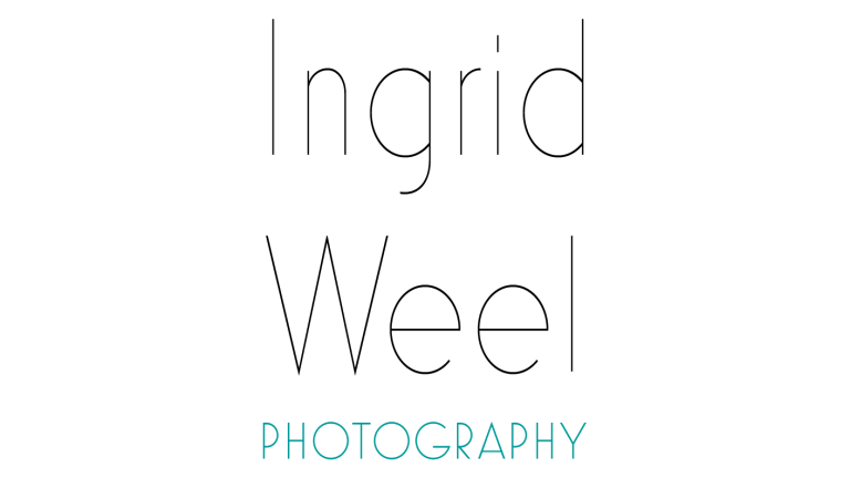 SEP LOGO 768x432